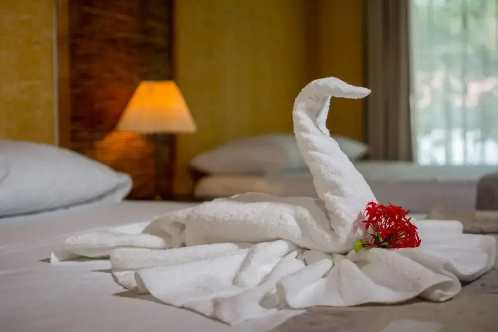 Pacific Paradise Resort - Chambres