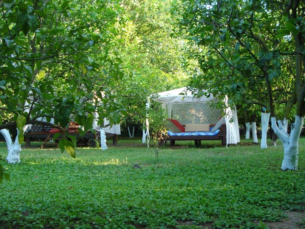 Myland Nature Hotel by null