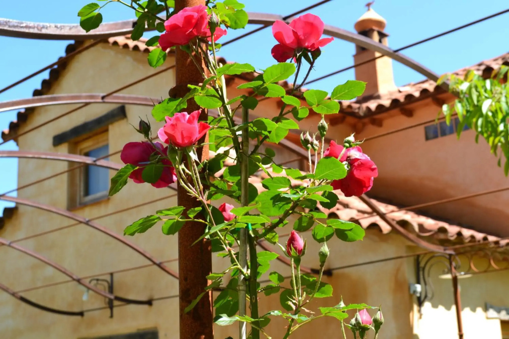 Casas Rurales Camino del Castaño