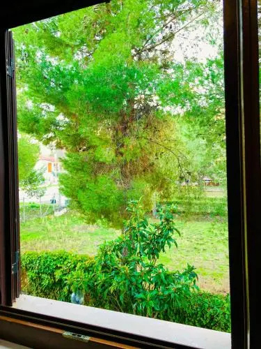 Hotel photo 36