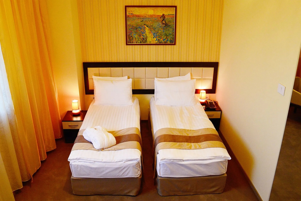 Best Western Plus Briston - Général