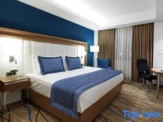 Deluxe Double room (full double bed)