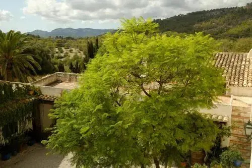 Hotel photo 31
