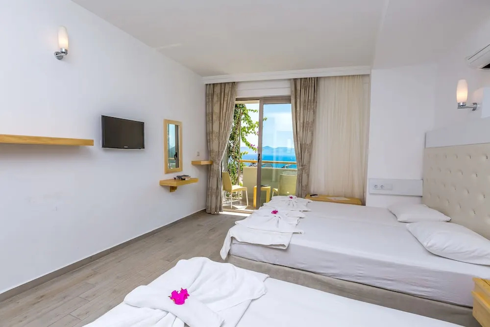 Standard Double room with balcony and with city view (full double bed)