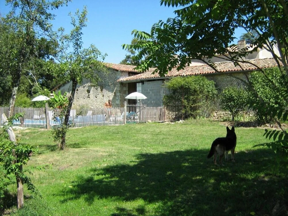 Image 15