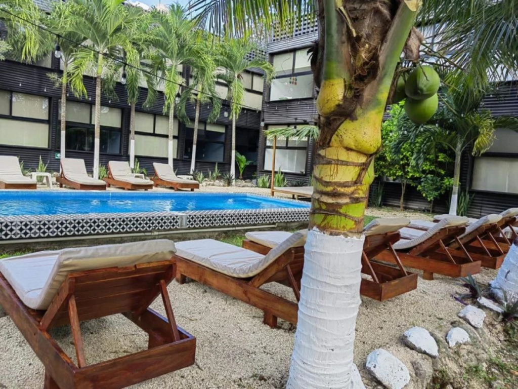 Hotel photo 13