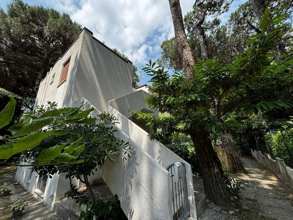 Cozy Apartment in the Heart of the Pinewood