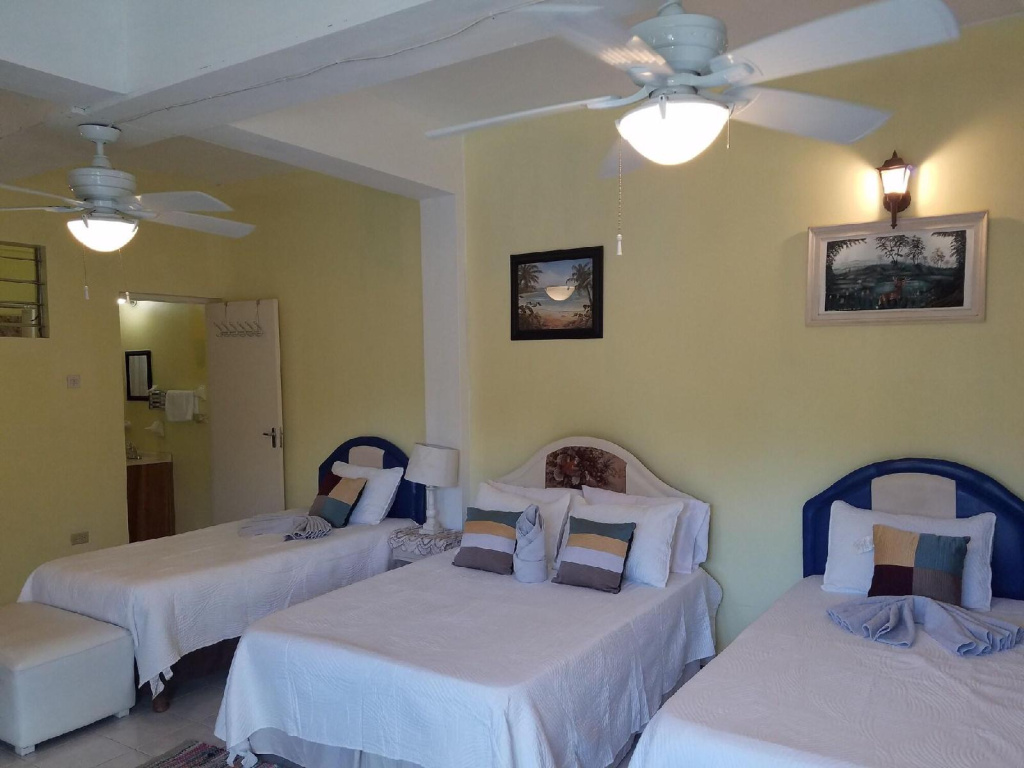 The Inn At Great Bay Treasure Beach Jamaica - Général