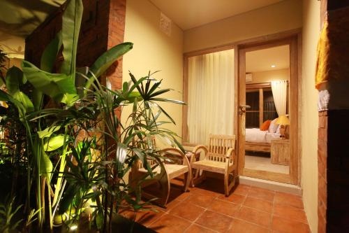 Balcony & Terrace
