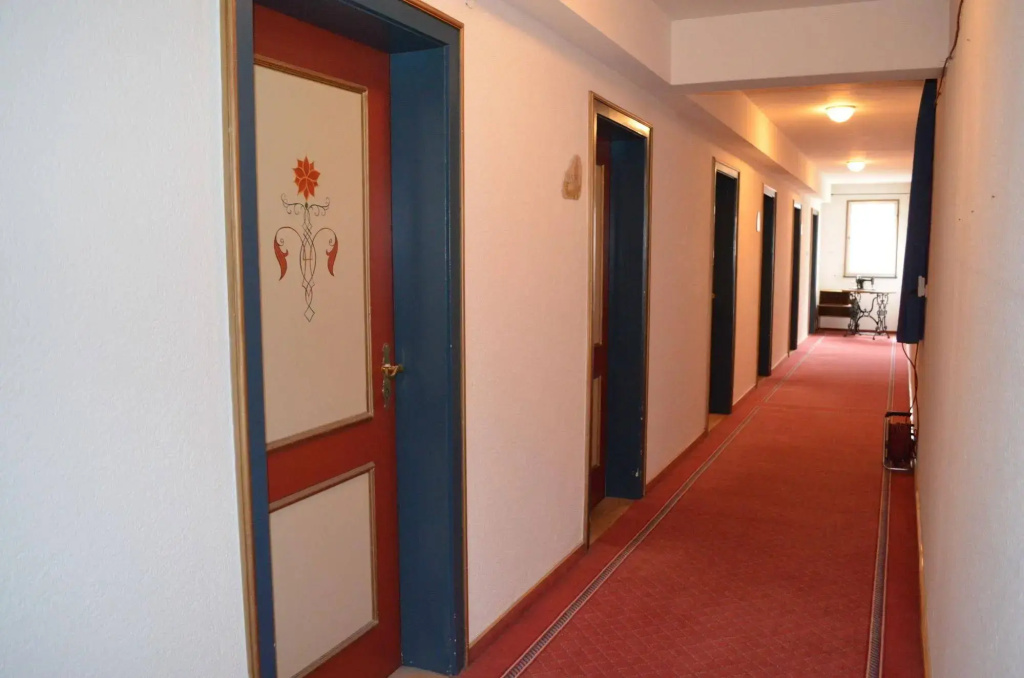 Hotel Waldhorn - Général