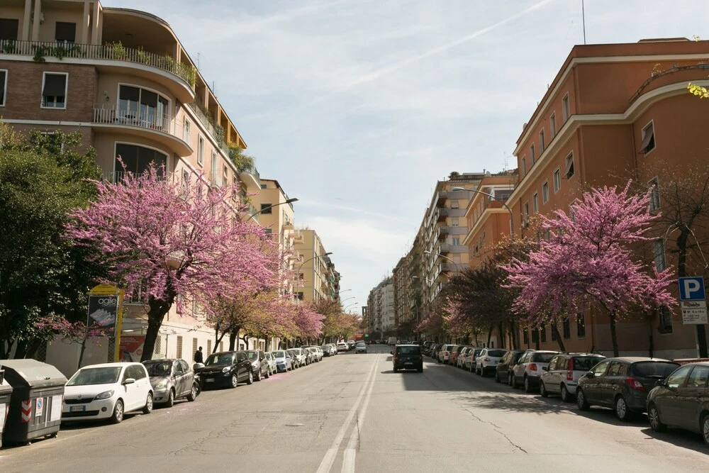 Colosseum & Appian Way from a Family Apt