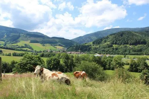 Landgasthof Zum Schützen - Général