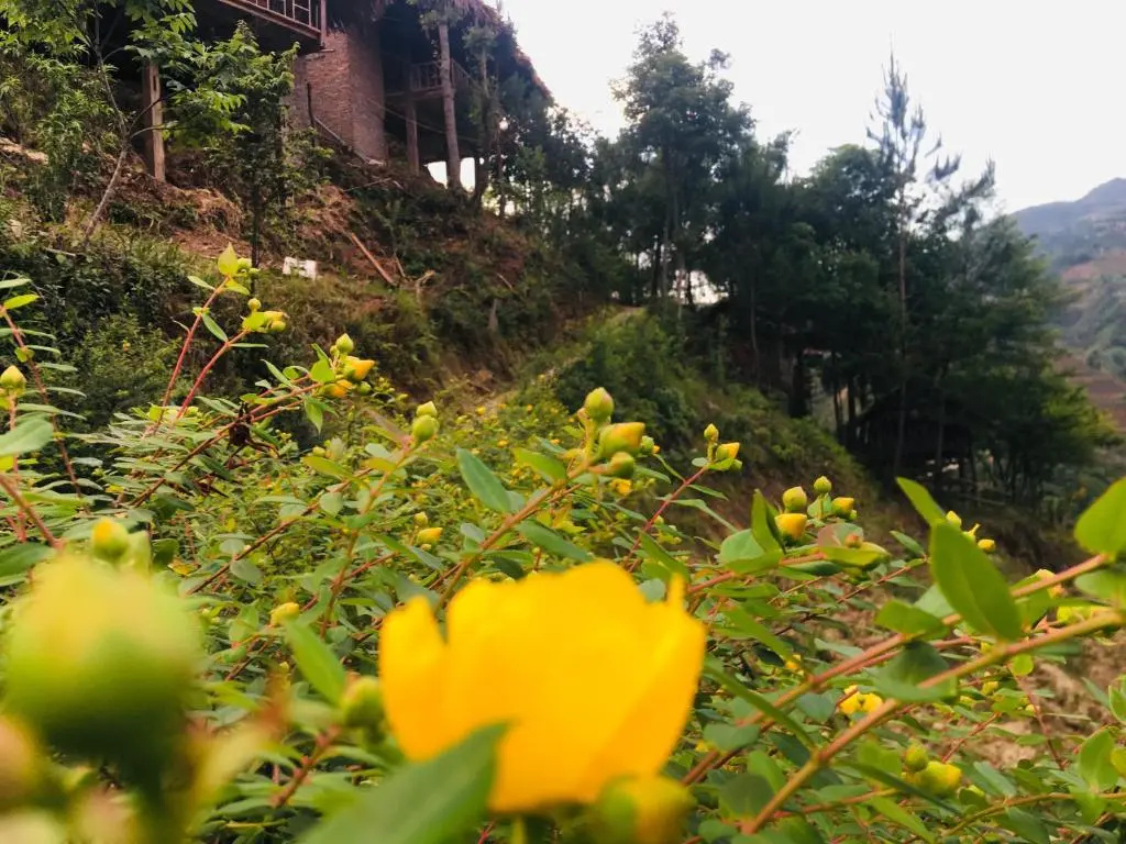Hello Mu Cang Chai Homestay - Hostel