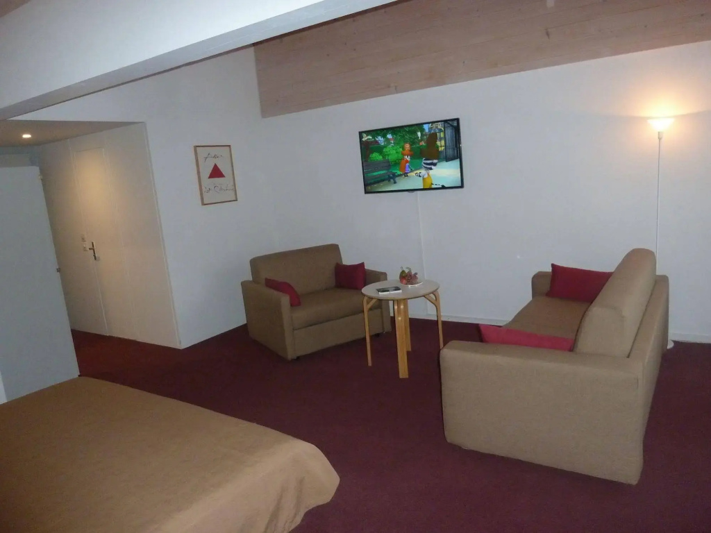 Hotel Kreuz Lenk - Général