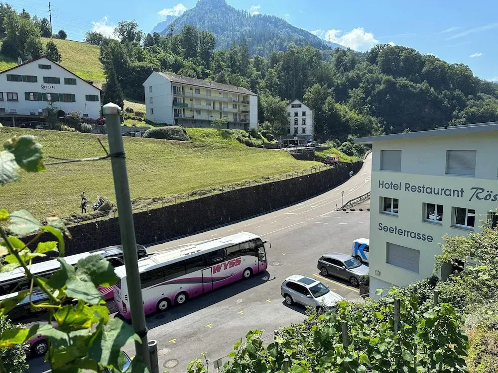 Seeblick Hotel und Restaurant Rössli