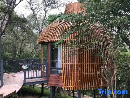 Guanshan Prairie Huaxi Sushang Tree House Hostel