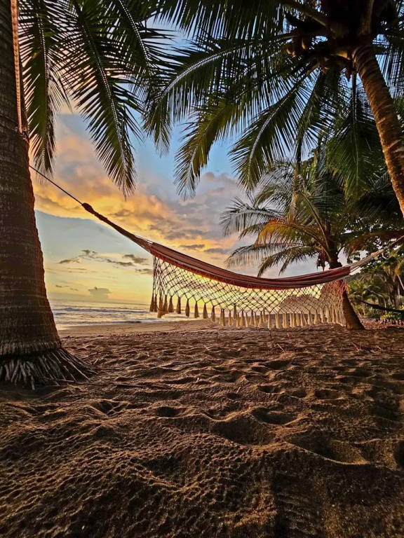 Fuego del Sol Beachfront Hotel - Général