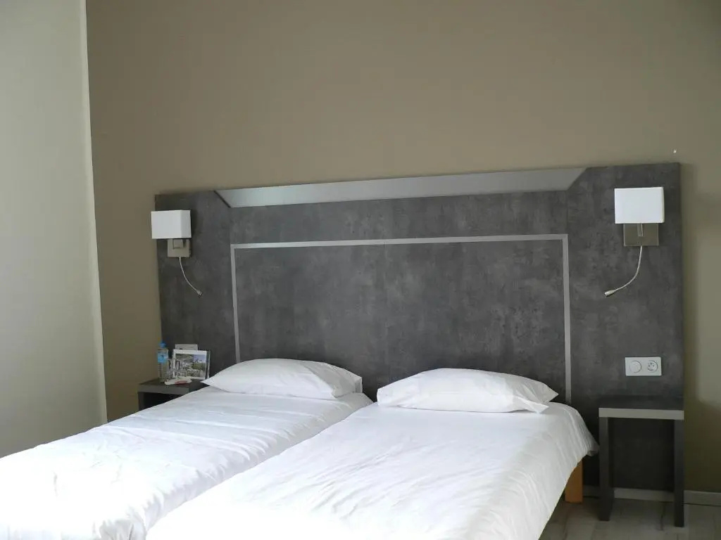 Standard Double room (twin beds)