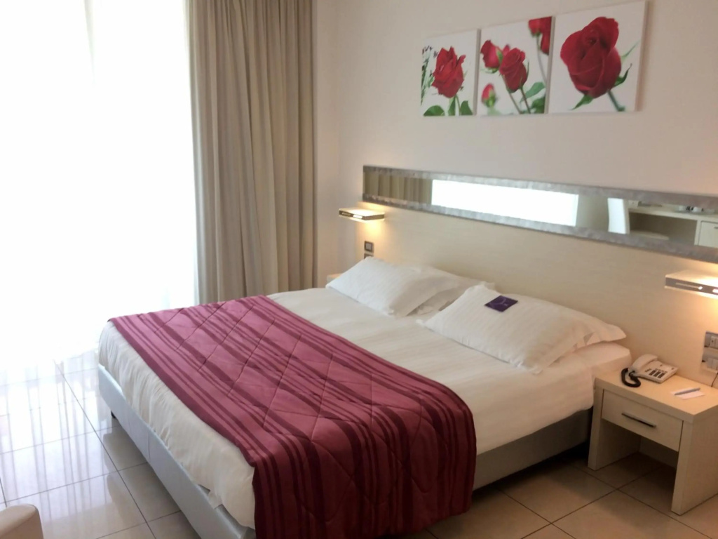 Mercure Rimini Artis - Général