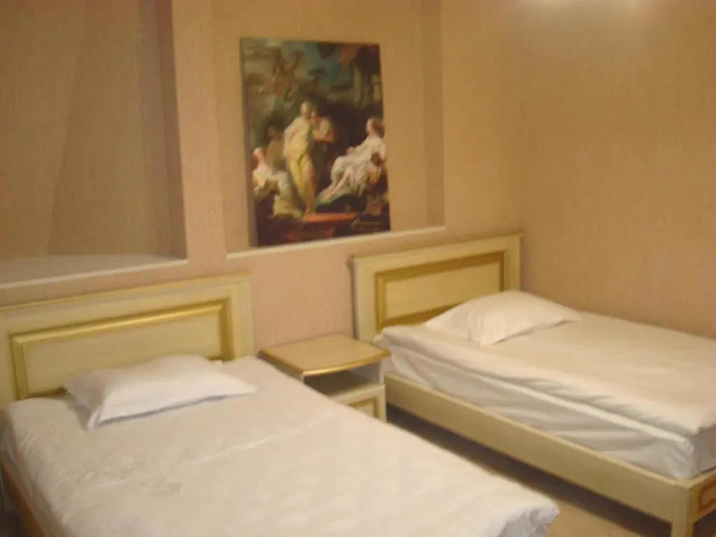 Standard Double room (twin beds)