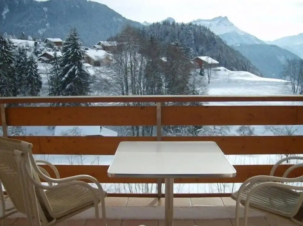 Castel Club Leysin Parc Resort - Général