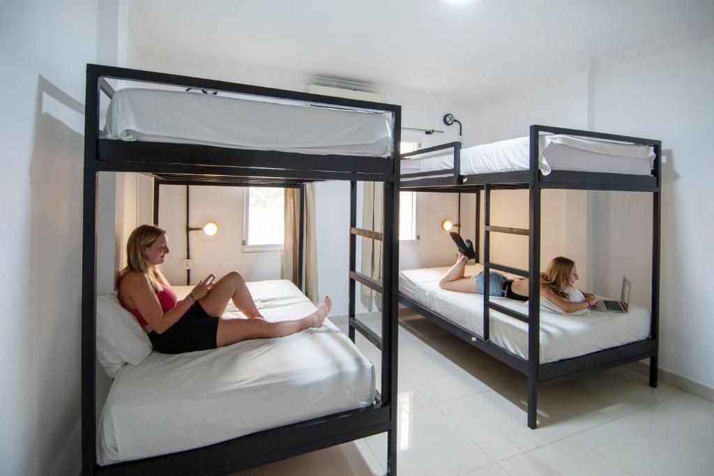 Mad Monkey Phnom Penh by null