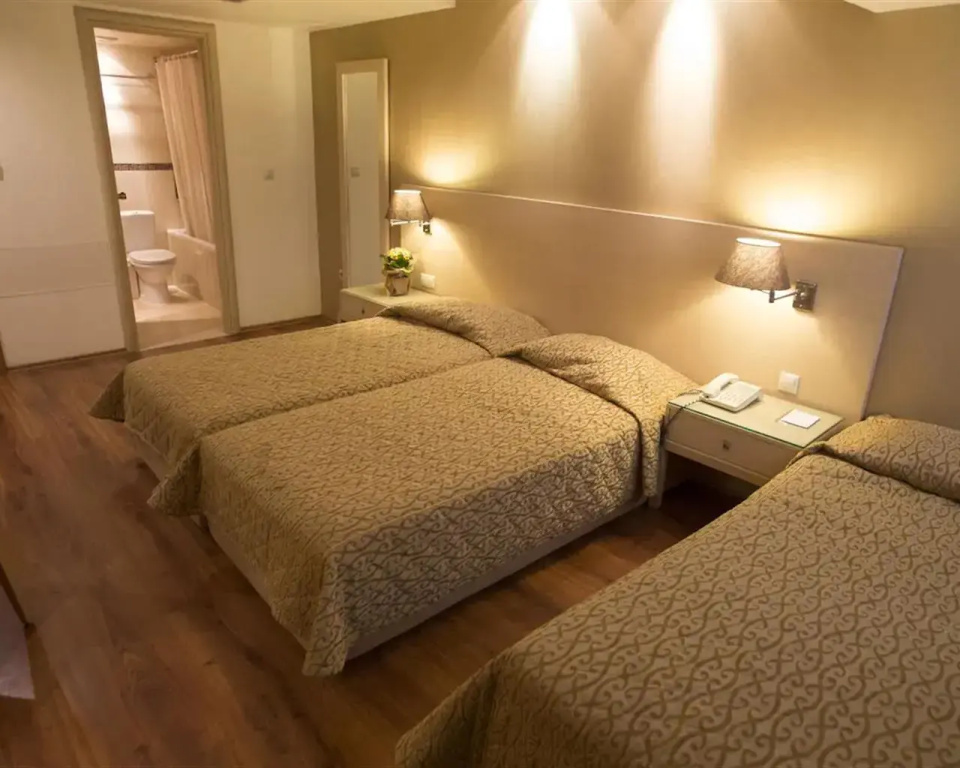 Davitel Tobacco Hotel - Chambres
