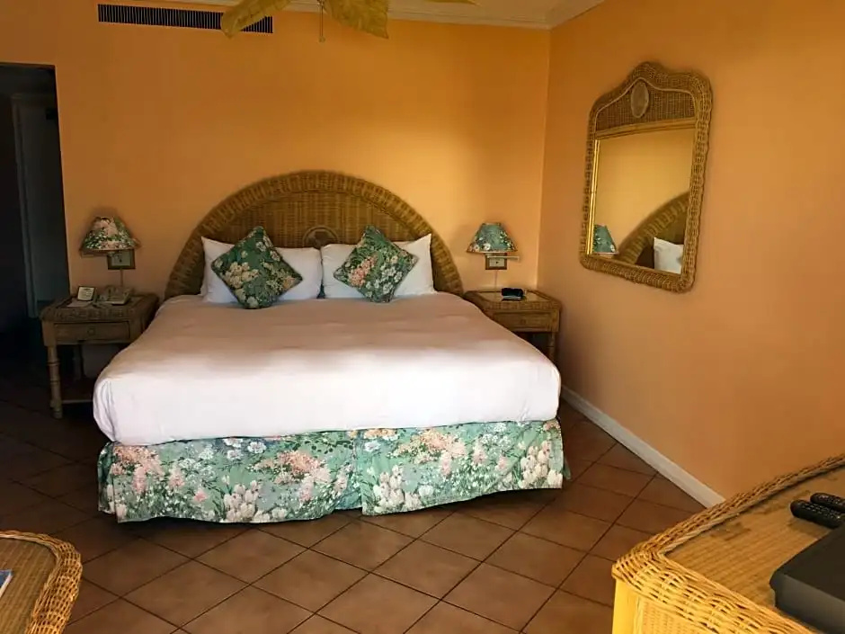 Standard Double room with ocean view (full double bed)
