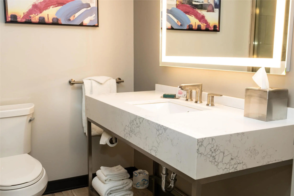 DoubleTree by Hilton Austin, MN - Général