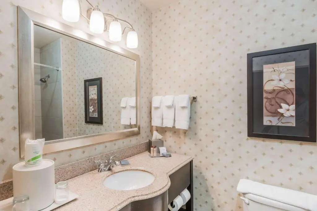 Wingate by Wyndham New Braunfels - Chambres