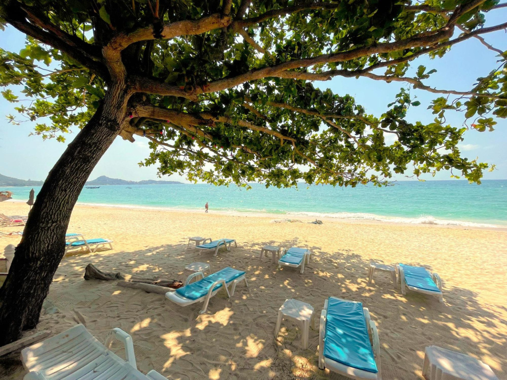Samui Sense Beach Resort - Général