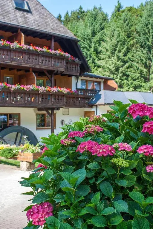 Hotel Tannenmühle - Chambres