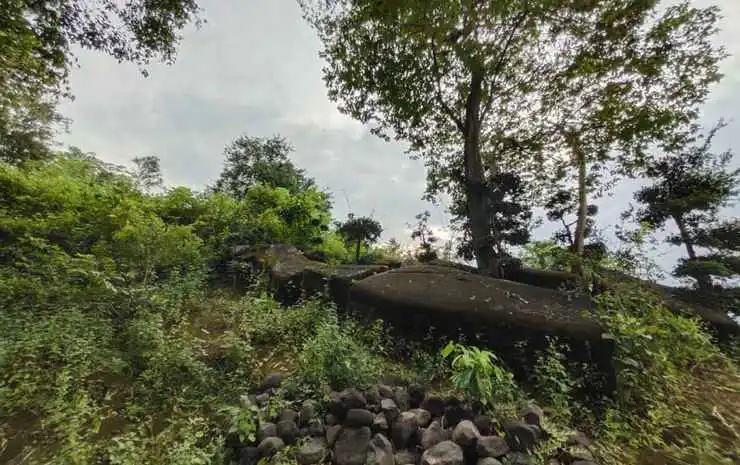Watu Wayang Camp & Tracking