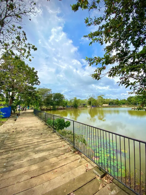 Miringa homestay