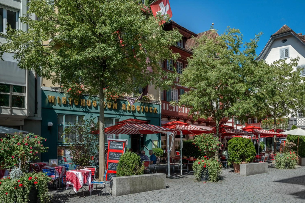 Hotel Rebstock - Général