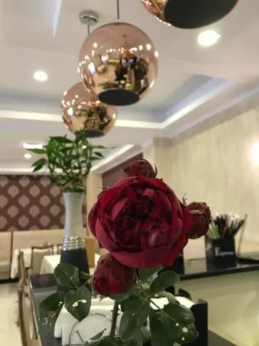 Hotel Terra Iasi - фото 12