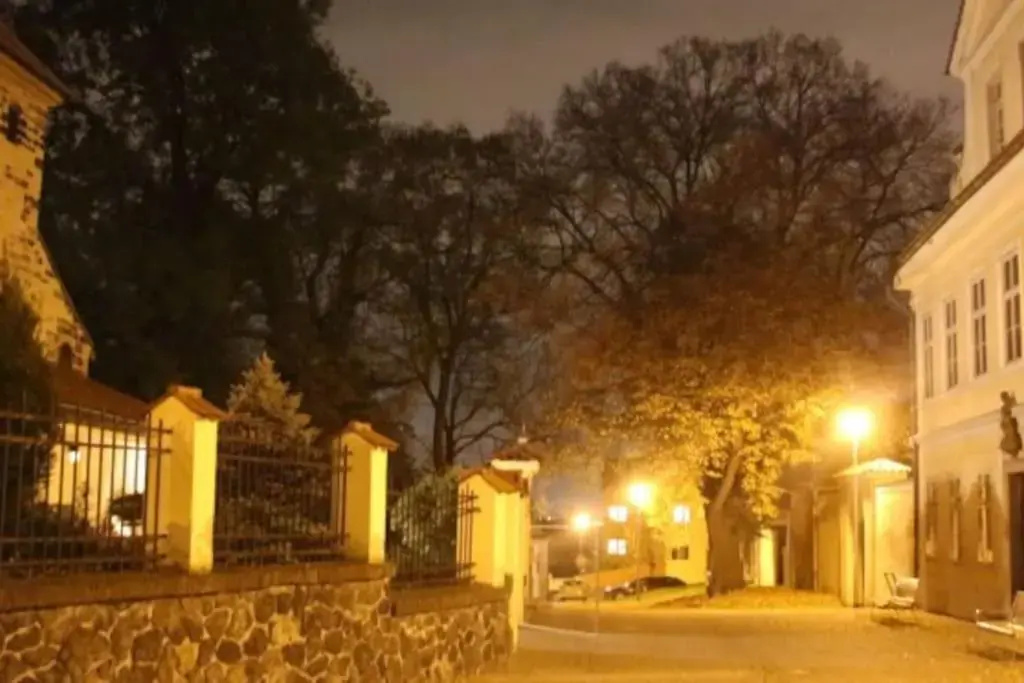 Cozy friendly place with free parking