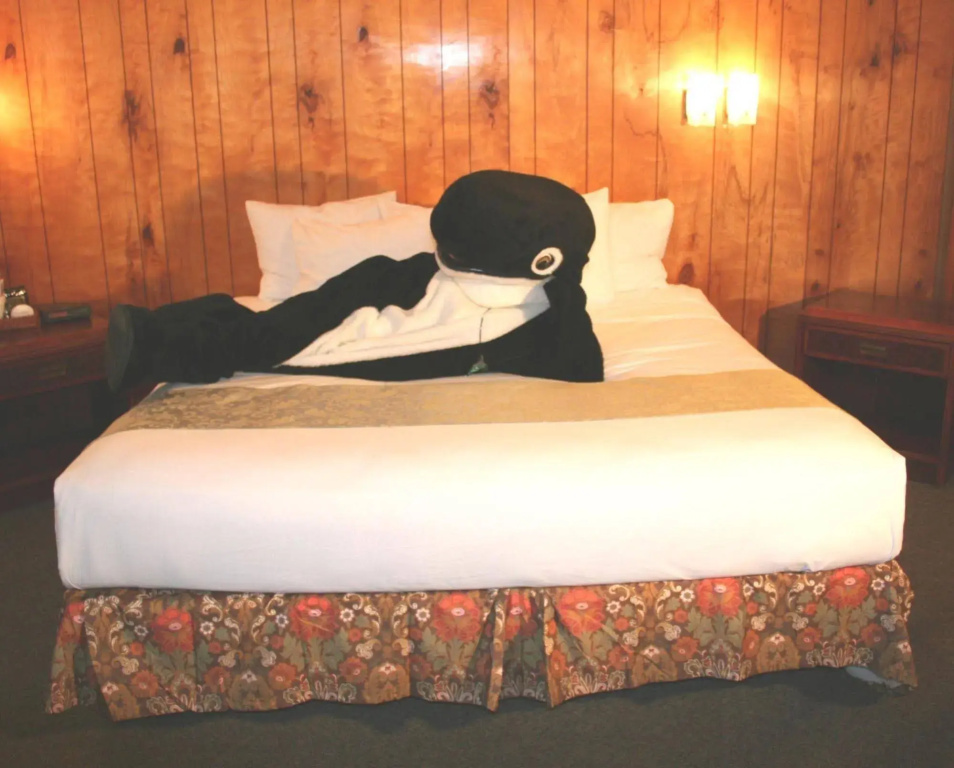 The Orca Inn - Général