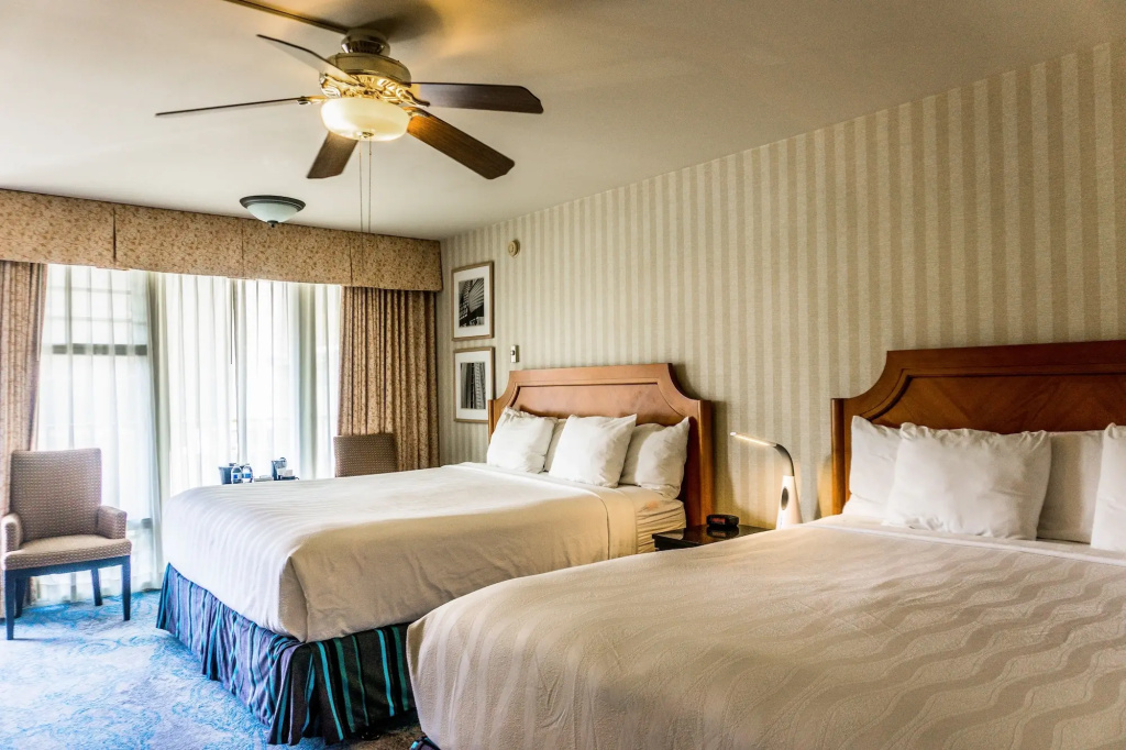 Hotel photo 50