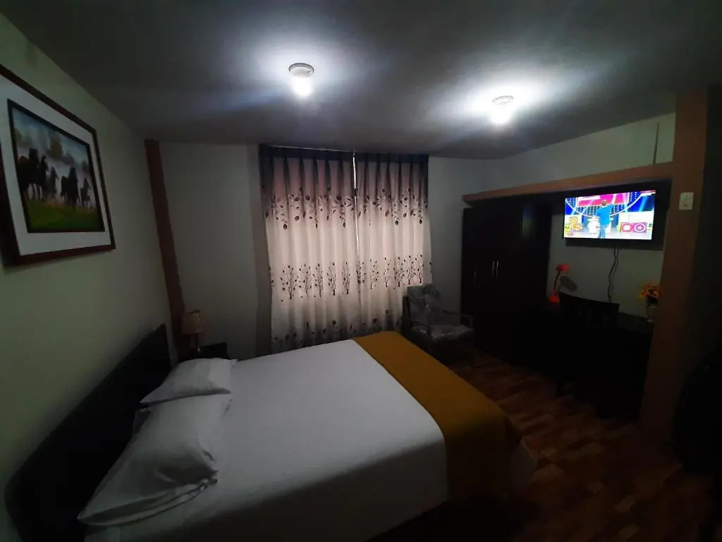 Standard Double room (full double bed)
