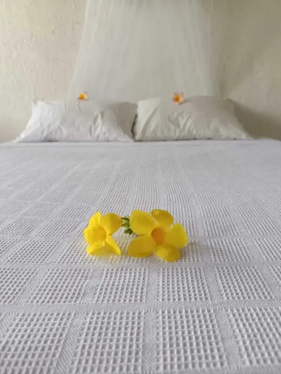 Standard Double room with garden view (full double bed)