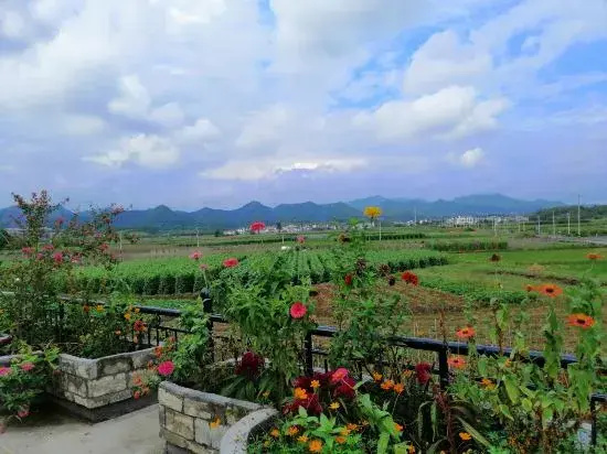 Huangshan Husband and Wife Inn