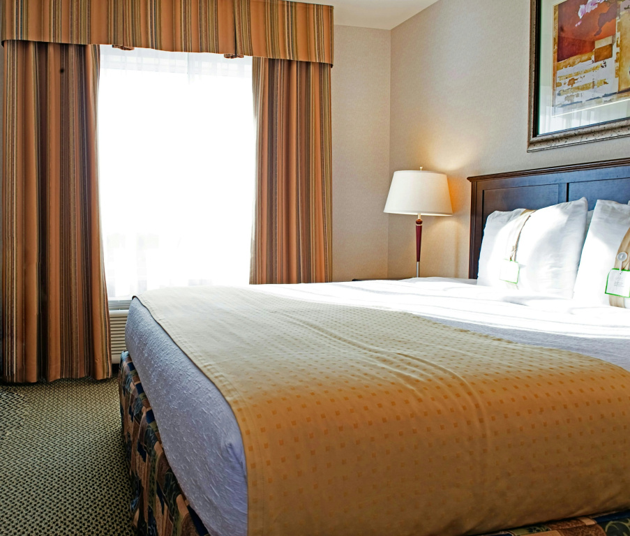 Holiday Inn Hotel & Suites West Edmonton by IHG - Général