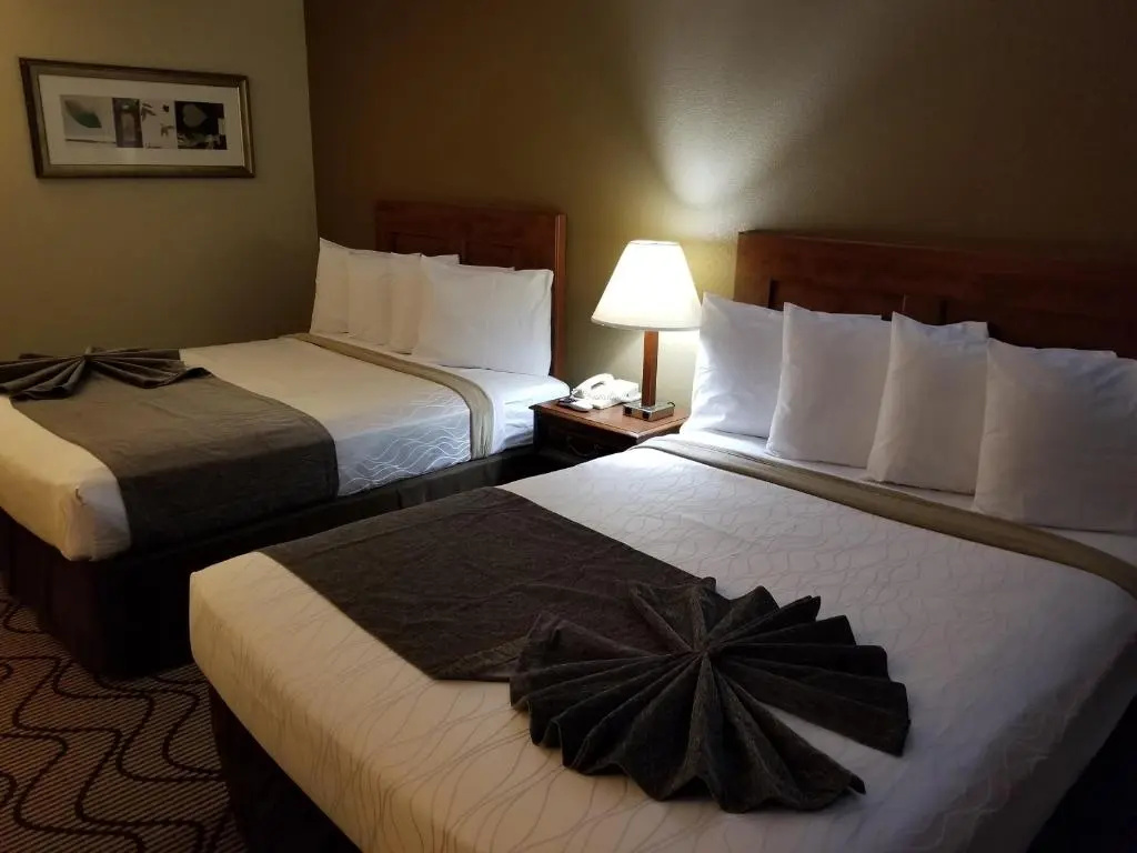 Jack London Inn: фото 3