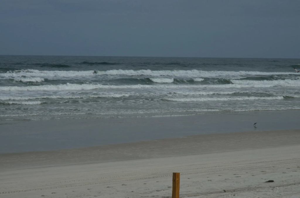 Holiday Shores Beach Club - Général