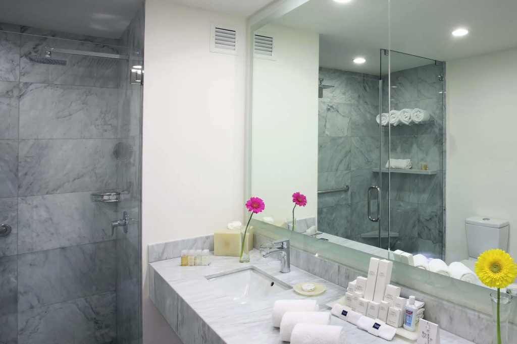 HS HOTSSON Hotel Querétaro - Général