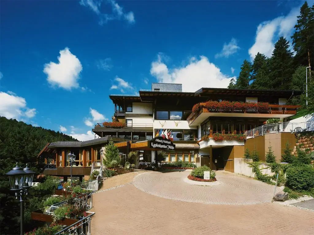Ringhotel Mönchs Waldhotel - Général