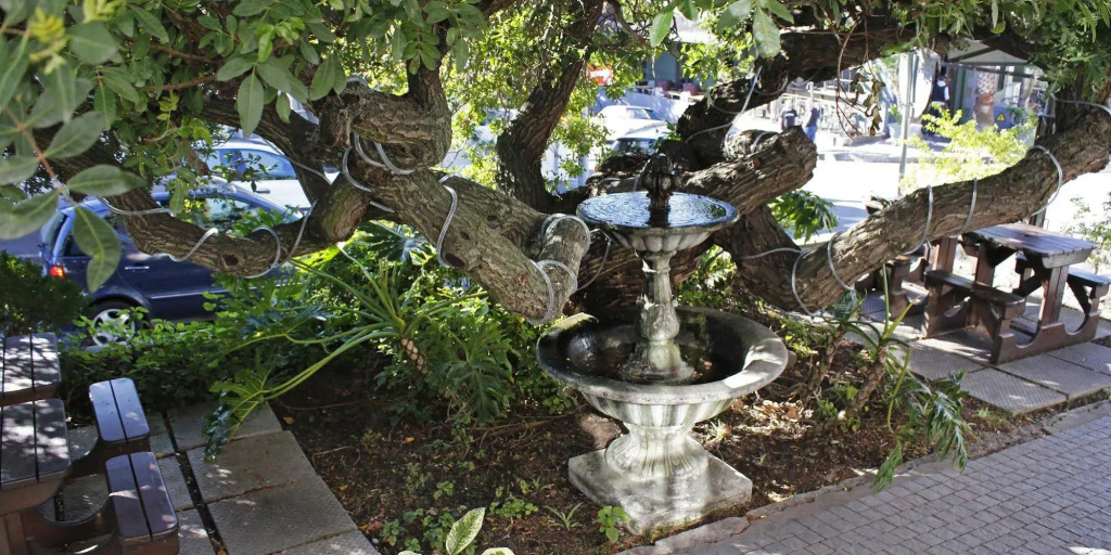 Hotel photo 22