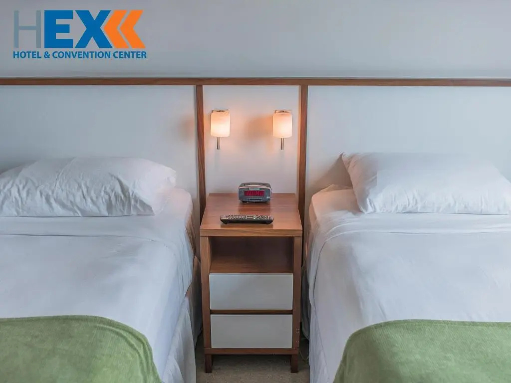 Standard Double room (twin beds)