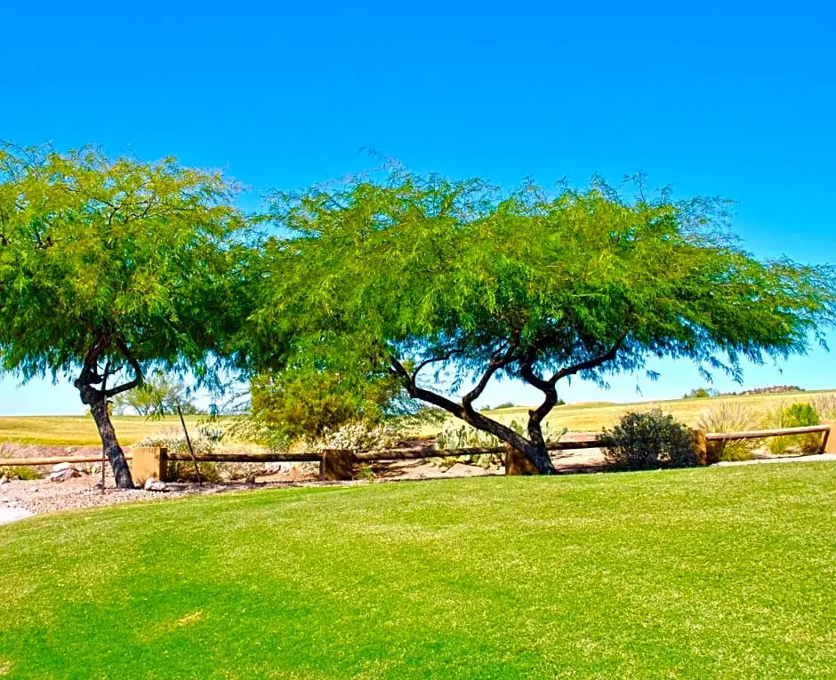 Gold Canyon Golf Resort & Spa - Chambres